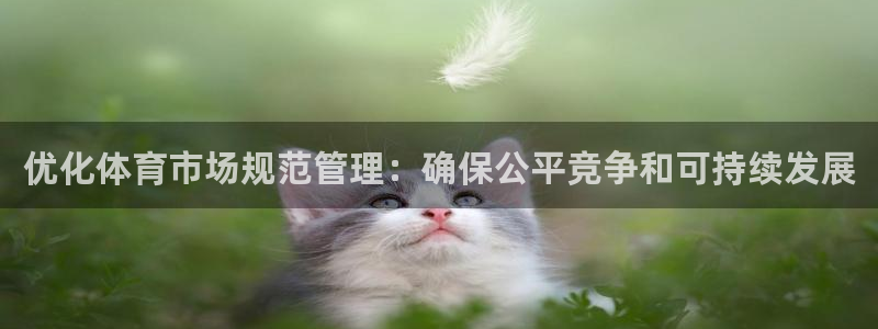 必一体育bsport