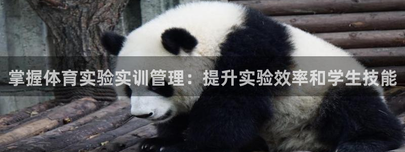 必一体育周公：掌握体