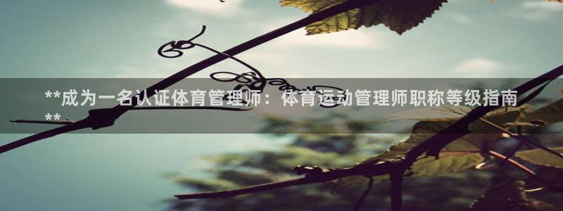 必一体育官网网站：*