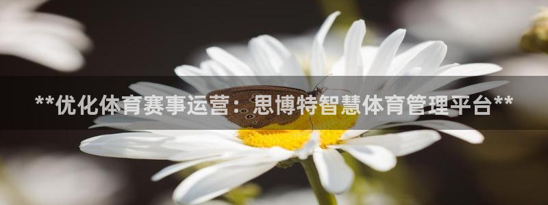 必一体育没了：**优