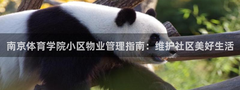 必一体育app下载最