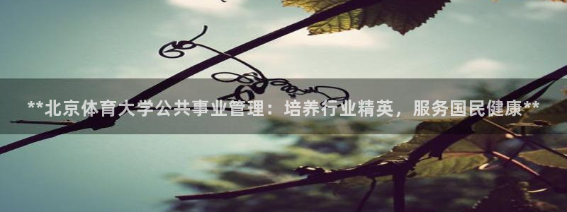 必一体育在线玩：**
