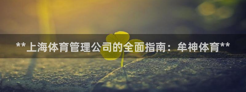 必一体育验证码：**