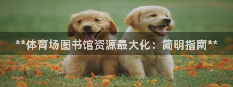 b体育必一运动网页版