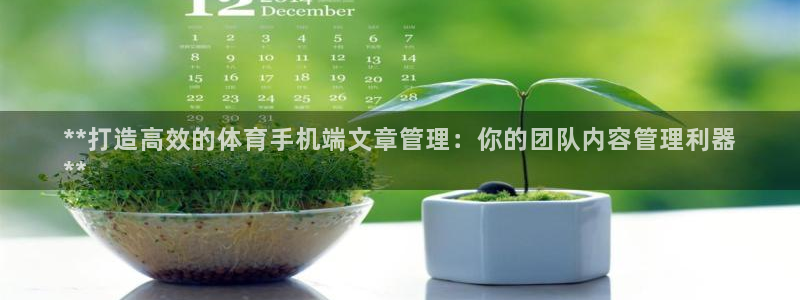 必一体育在线玩：**