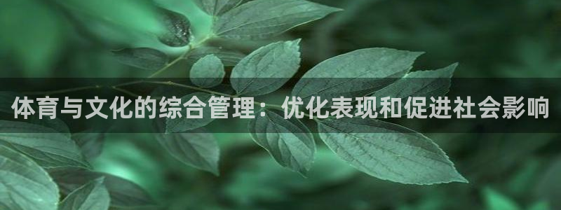 必一体育运动app：体育与文化的综合管理：优化表现和促进社会
