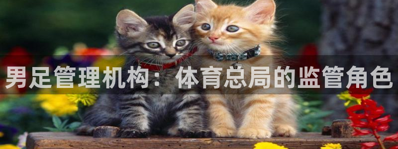 必一体育登陆：男足管理机构：体育总局的监管角色