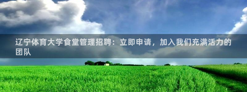 必一体育网址：辽宁体