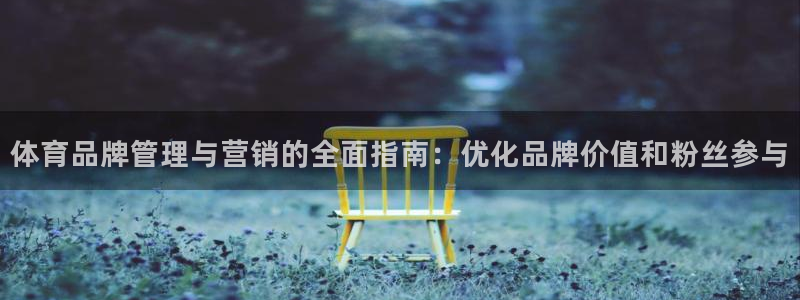 必一体育旧版：体育品