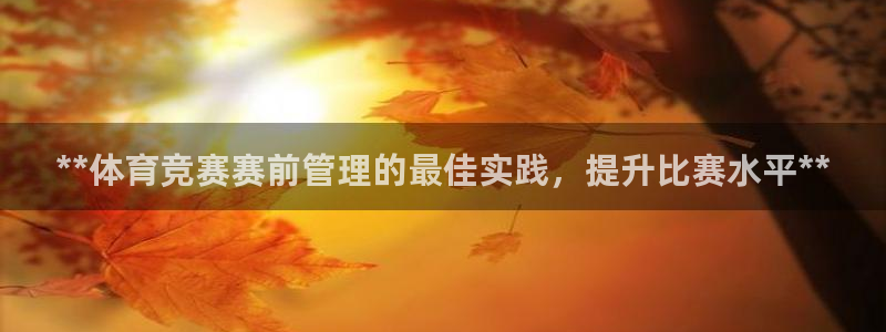 必一体育网页版登录：