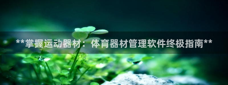 必一运动：**掌握运