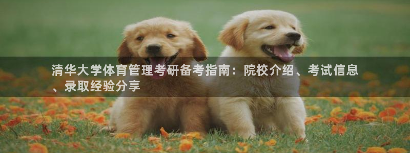 必一体育下载移动版：