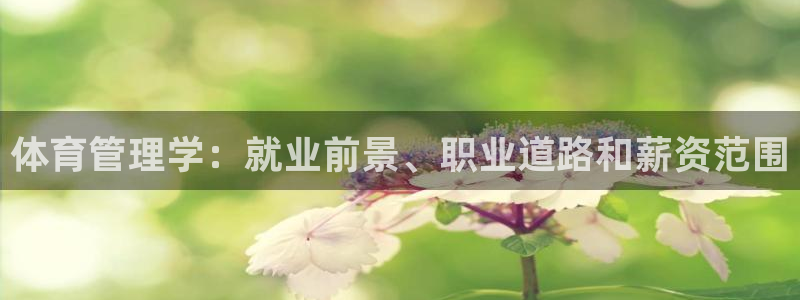 必一运动体：体育管理