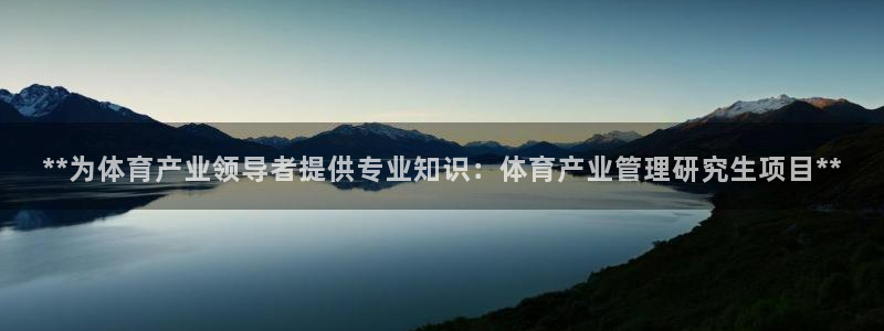 必一体育bsport