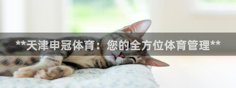 必一体育在线登录：**天津申冠体育：您的全方位体育管理**