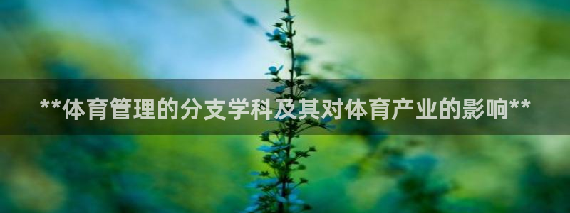 必一体育皮尔斯：**