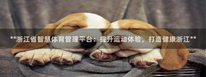 必一体育官网网址：*
