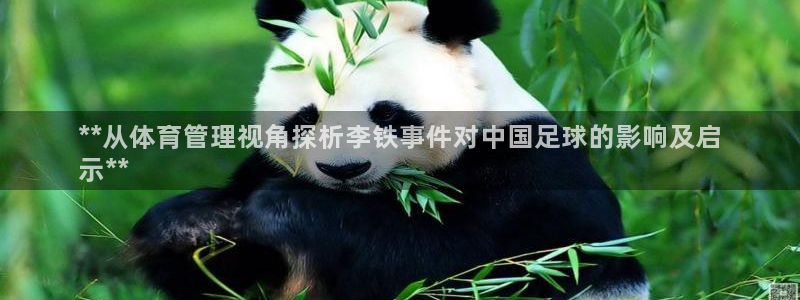 必一体育游戏玩法：*