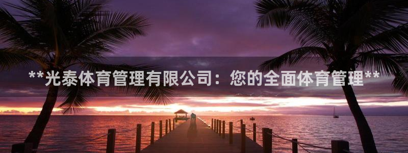 必一体育电子app：