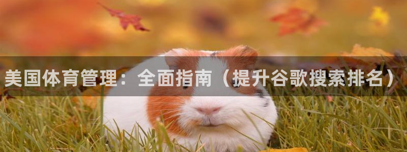 必一体育网页版登录：美国体育管理：全面指南（提升谷歌搜索排名