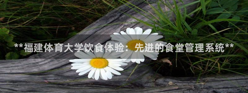 必一运动 b 体育素