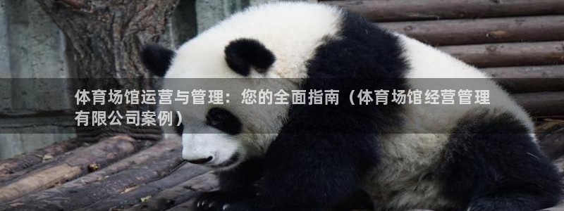 必一体育bsport下载：体育场馆运营与管理：您的全面指南（