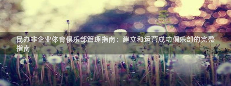 必一体育平台：民办非