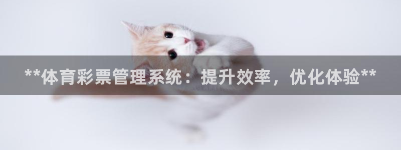 必一体育下载app：