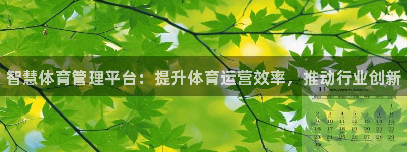必一体育最新官网入口首页：智慧体育管理平台：提升体育运营效率