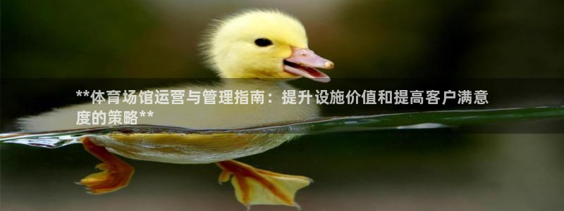 必一体育官网app：