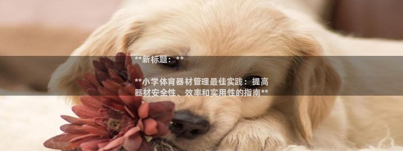 必一体育运动app下