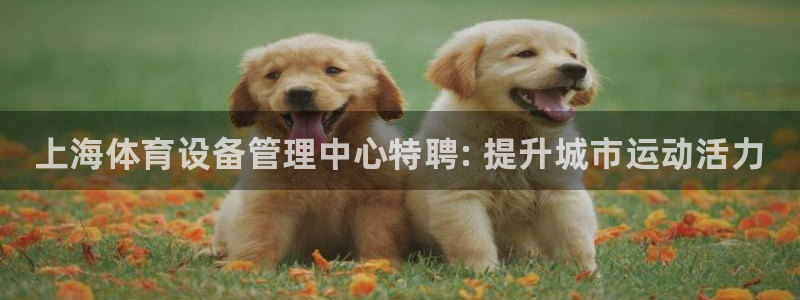 必一体育在线官网：上