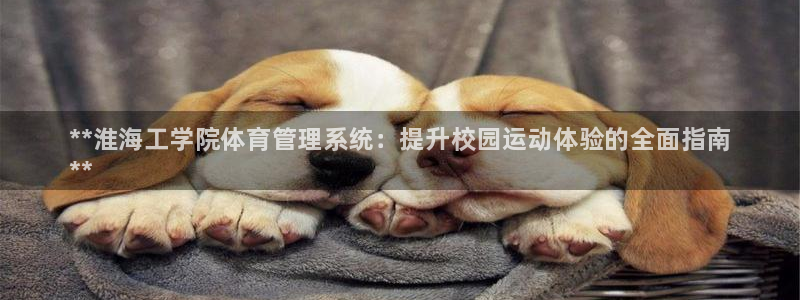 必一体育全站在线登录