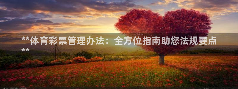 必十二和必一的副作用