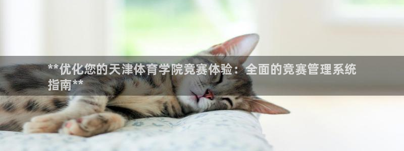 b体育官网下载入口a