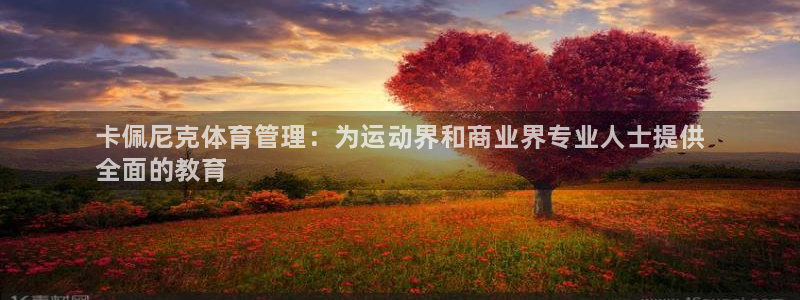 必一体育下载app：