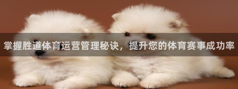 必一体育运动app：