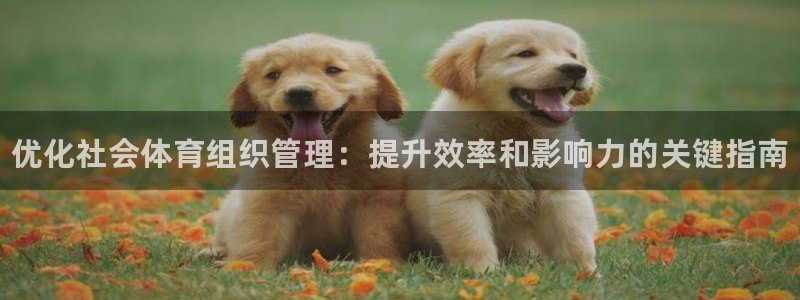 必一运动短信：优化社会体育组织管理：提升效率和影响力的关键指