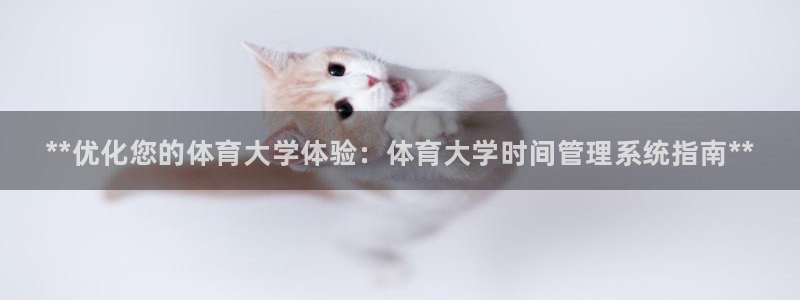 必一体育sport：