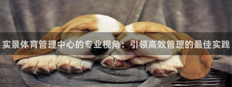 必一体育合法吗：实景