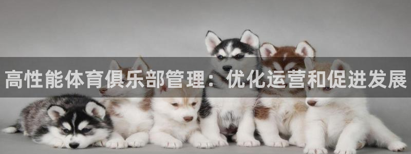 b体育必一下载：高性