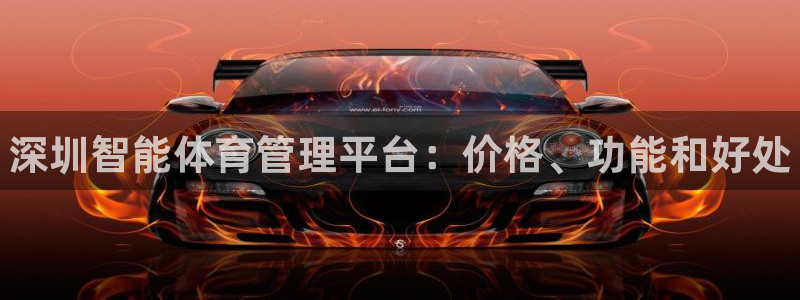 必一体育sport下