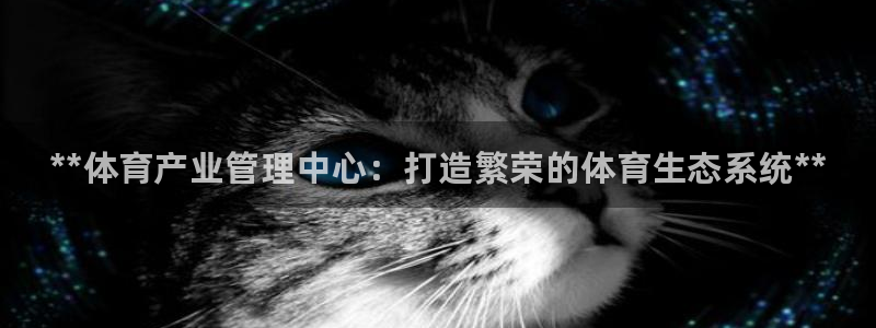 必一体育官方下载入口